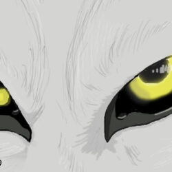 Wolf Eye Drawing Picture