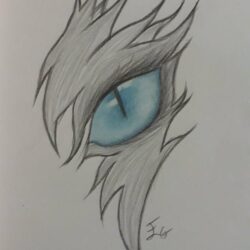 Wolf Eye Drawing Realistic Sketch