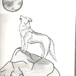 Wolf Howling At The Moon Drawing Art