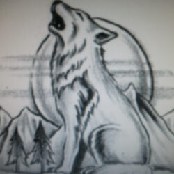 Wolf Howling At The Moon Drawing Fine Art