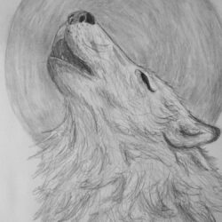 Wolf Howling At The Moon Drawing Intricate Artwork