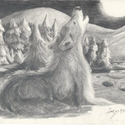 Wolf Howling At The Moon Drawing Modern Sketch