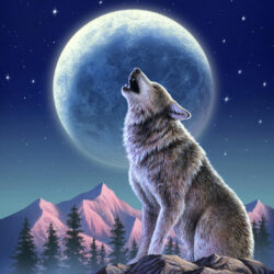 Wolf Howling At The Moon Drawing Realistic Sketch