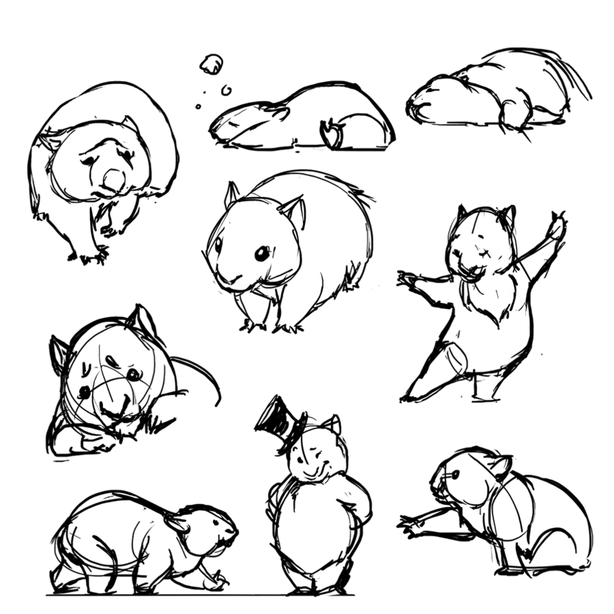 Wombat Drawing Artistic Sketching