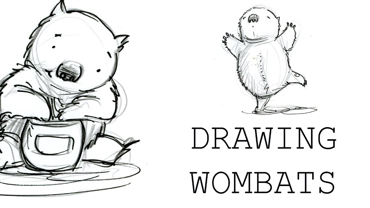 Wombat Drawing Modern Sketch