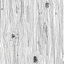 Wood Drawing Photo