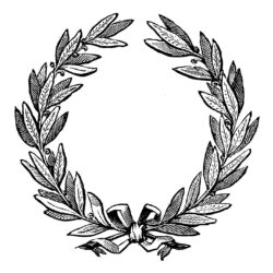 Wreath Drawing Professional Artwork